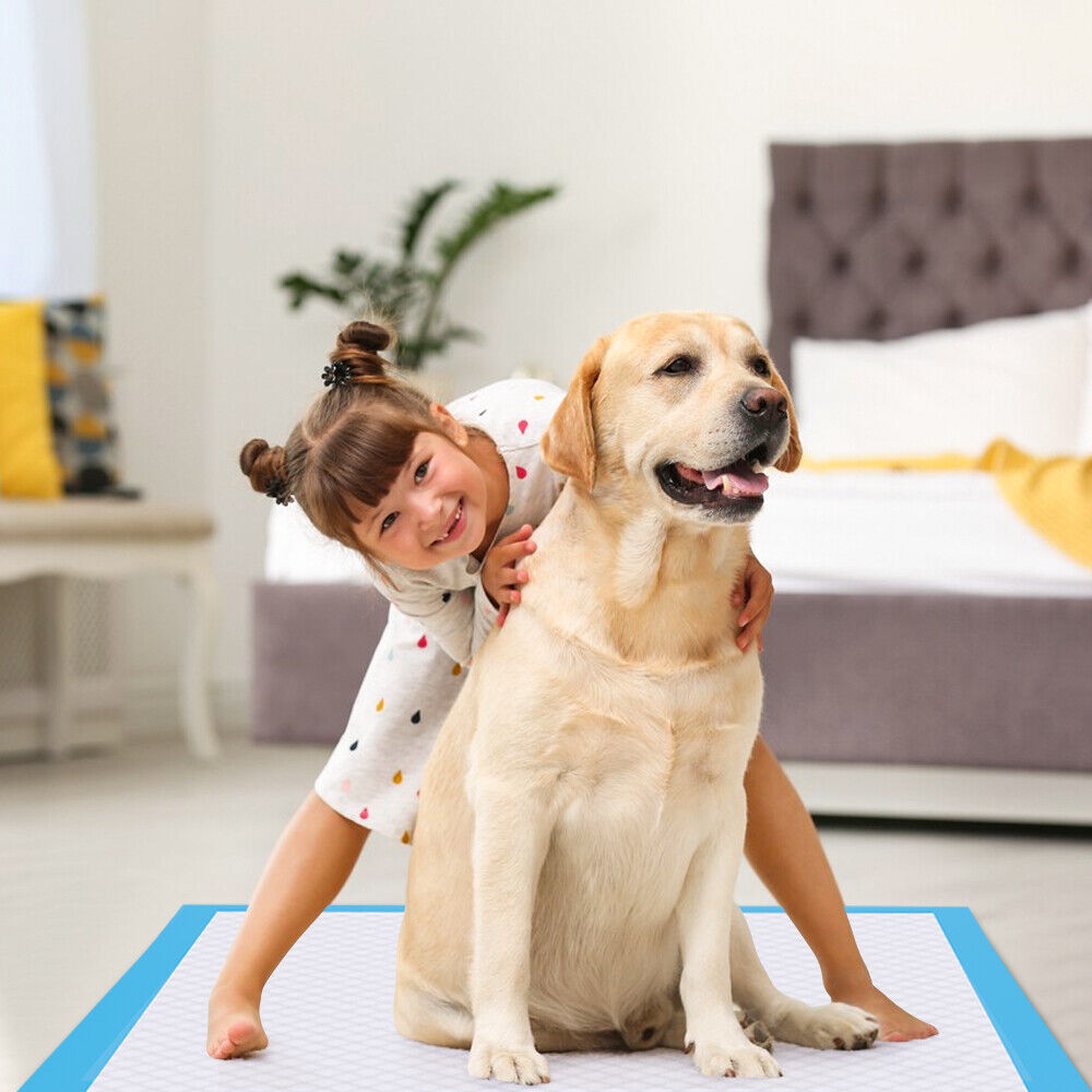 Pet Training Pads 60CM X 90CM